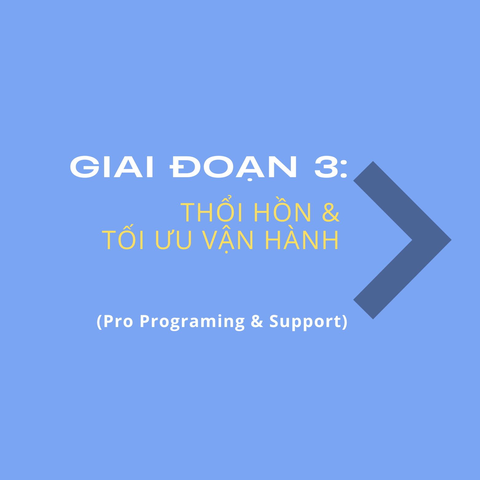GIAI ĐOẠN 3: THỔI HỒN & TỐI ƯU VẬN HÀNH
