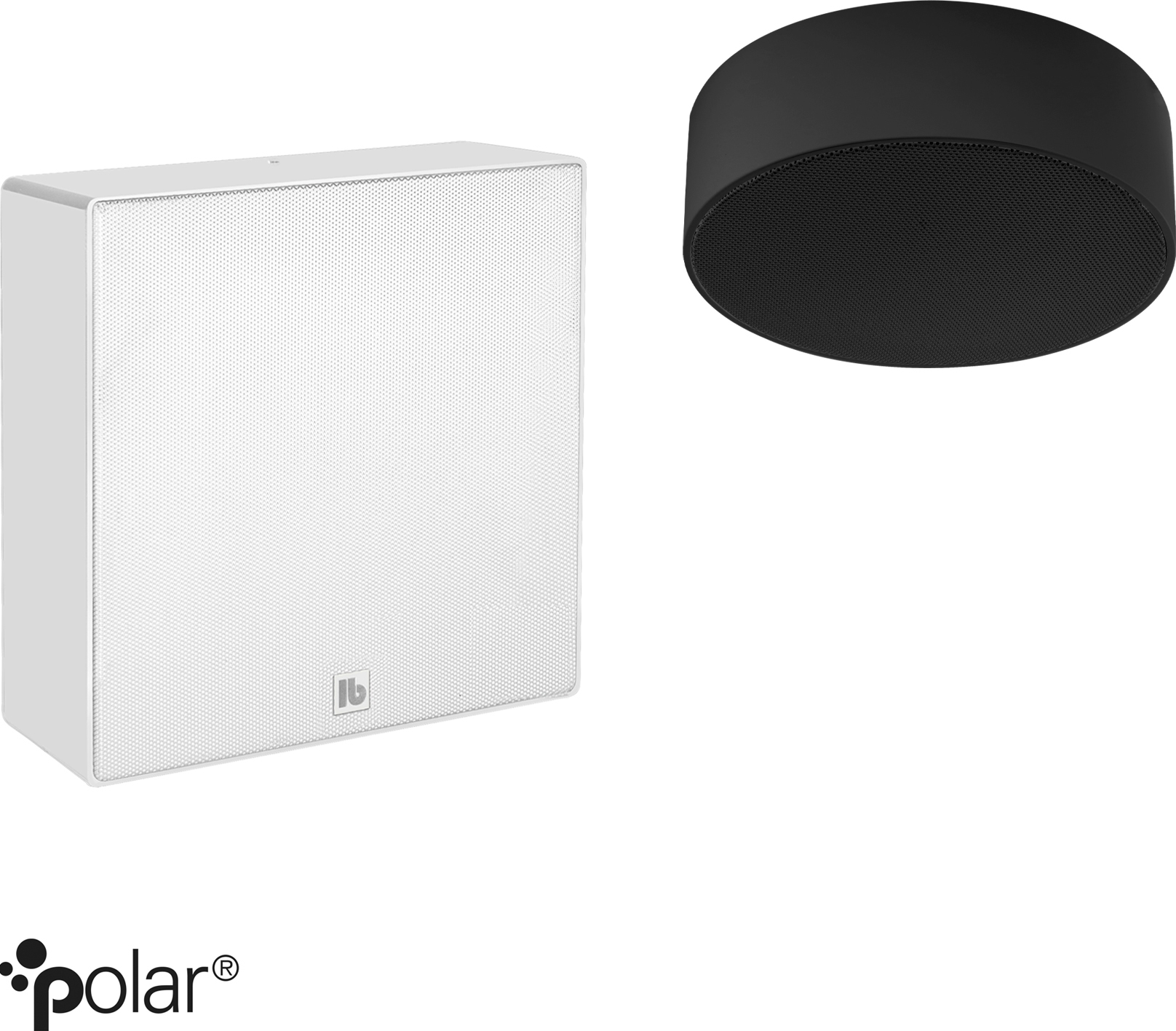 Loa thanh lịch, 2 đường tiếng, gắn trên bề mặt - DA 250 (Q) Polar