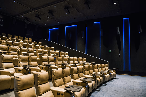Rạp chiếu phim thương mại - Commercial Cinema