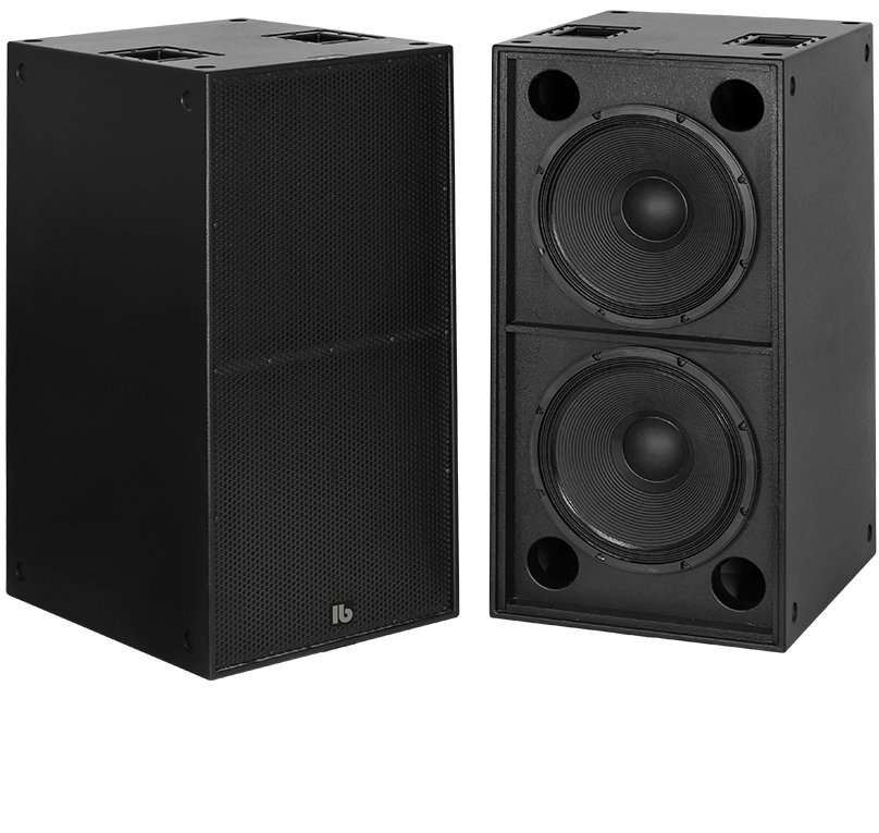 PA Subwoofer - B218