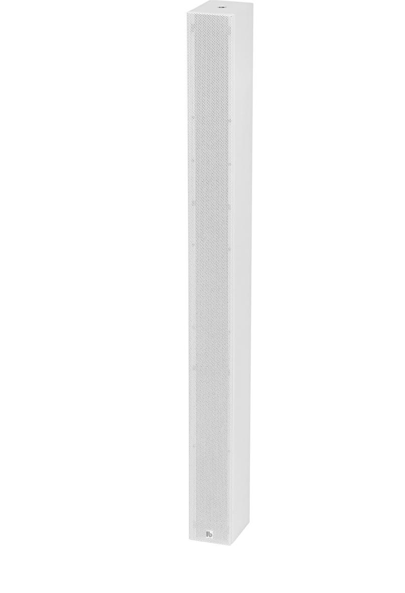 Line Array Column Speaker - ZL100